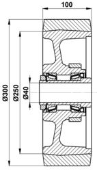 300x100-40 Koło ładunkowe Vulkollan BT 217629